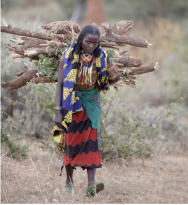 Loko Jarso carrying firewood